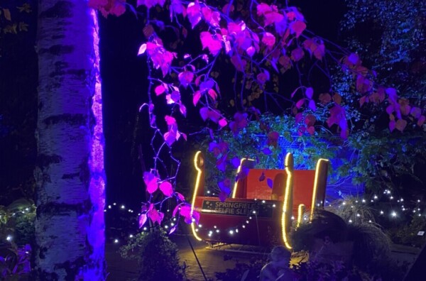 The Springfields Winter Wonderland Walk 2025