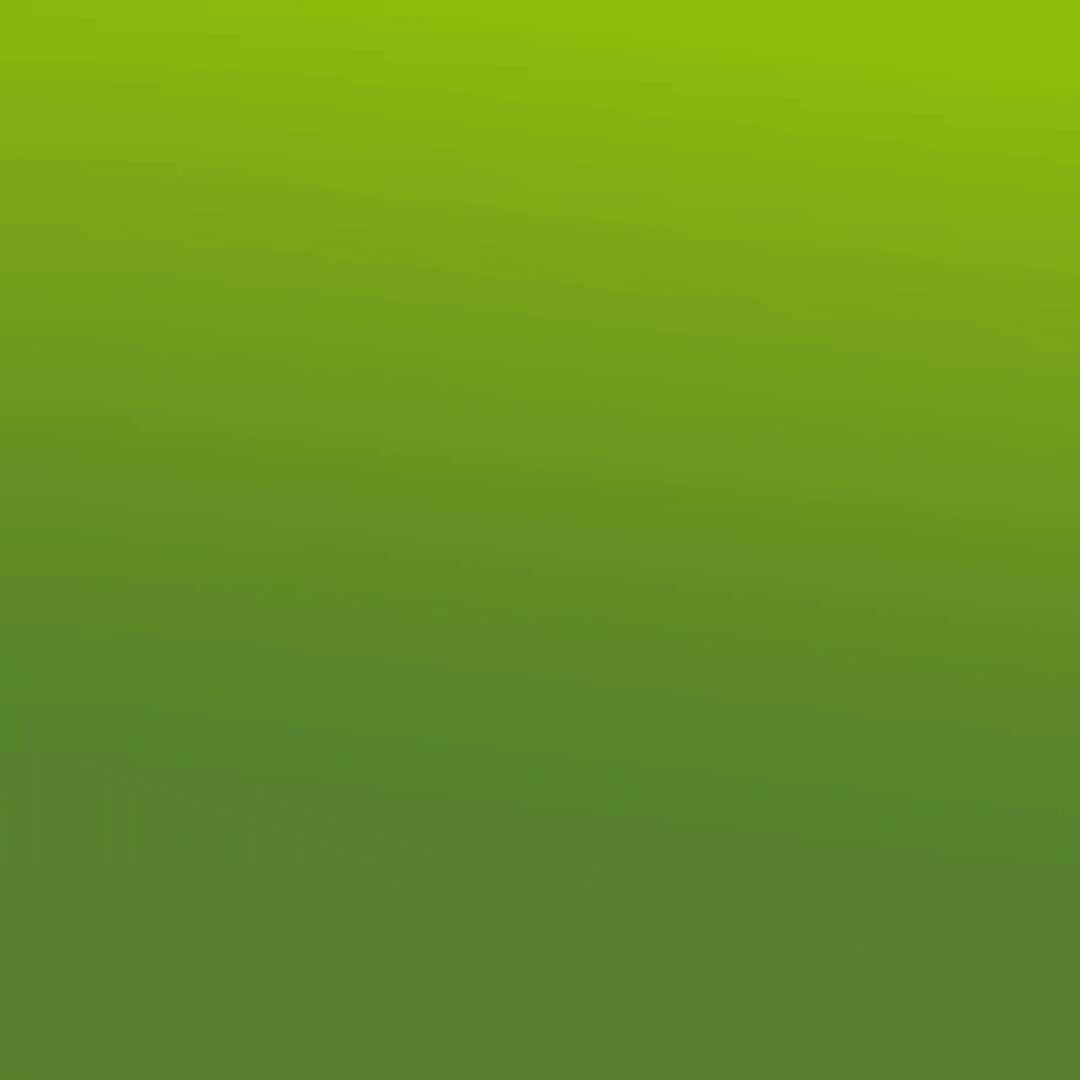 Springfields - Easter Egg Trail - VIDEO [SOCIAL SQUARE] V2 GIF