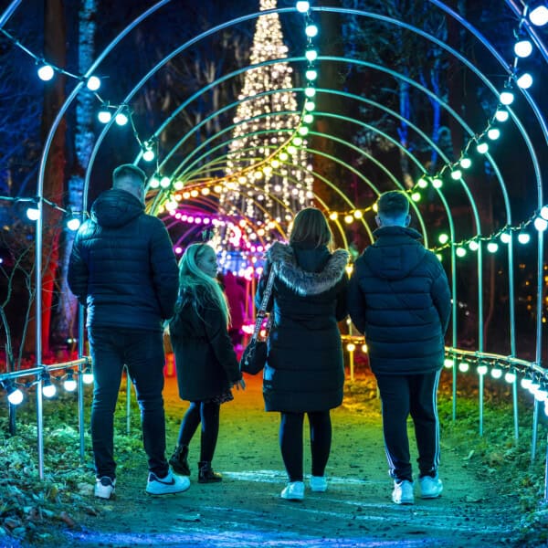 Springfields Winter Wonderland Walk