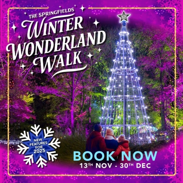 Springfields Winter Wonderland Walk