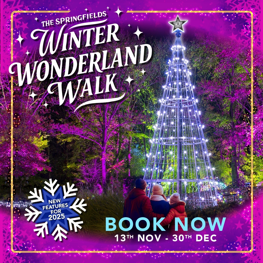 Springfields Winter Wonderland Walk Springfields Winter Wonderland Walk
